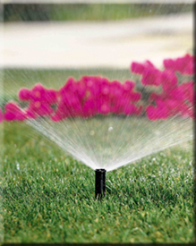 Sprinkler Head Sm